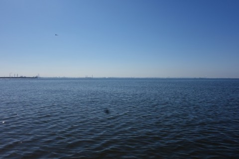 cie5xnk4pdhx2ajc3kz8_480_480-3b08daa7.jpg
