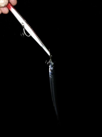 cky4sxdso7kgjay7a2bt_690_920-d6c4066c.jpg