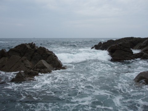 cv5dai9ez22s6hijjff9_480_480-154d1be2.jpg