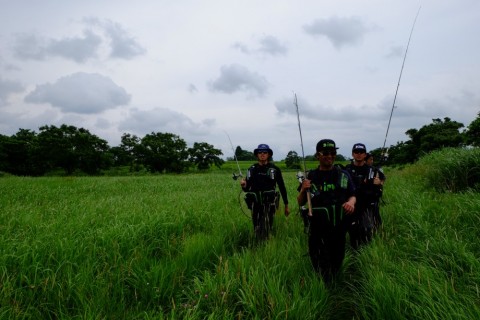 cy65fjhw76c4h6e747hf_480_480-601ae36e.jpg