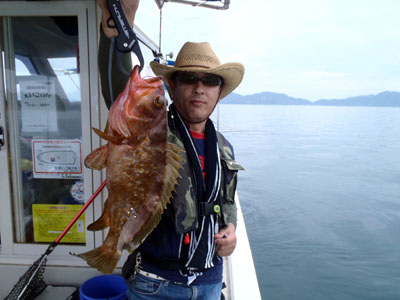 d49wj38ath8mg9s6fr43-266d749a.jpg