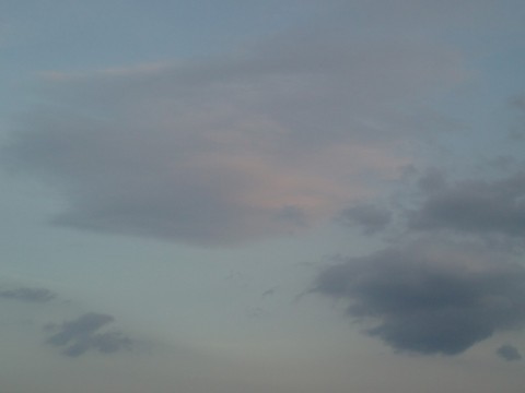 dgbukcbt9ehac9c9bhiy_480_480-304e7537.jpg