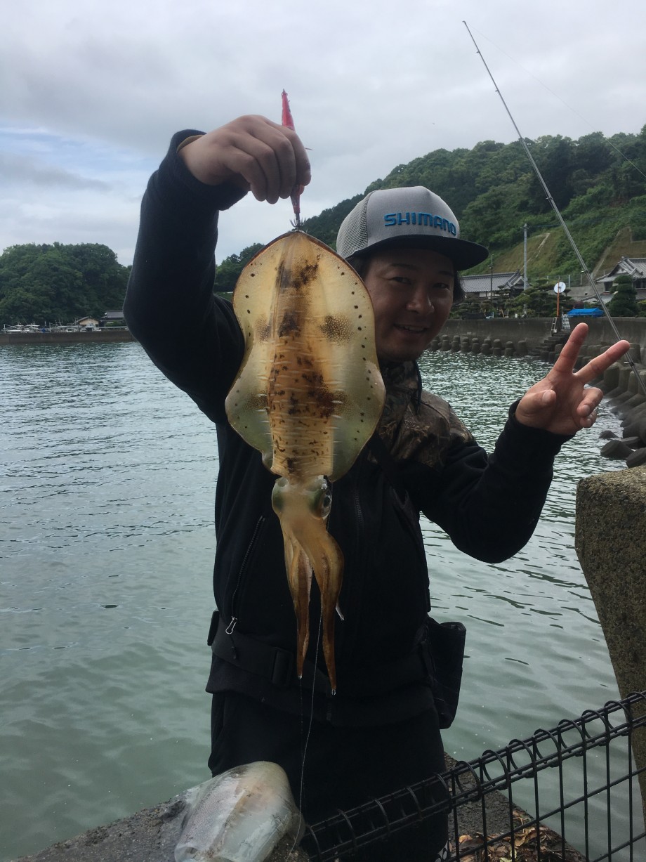 熊本 イカ 釣り