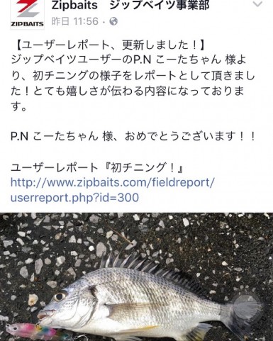 dm6pvdcv2i5nk3bivvrc_737_920-cf31434f.jpg