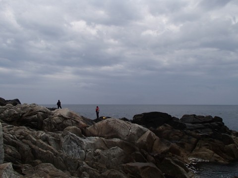 dme35a797weo4kwxxjef_480_480-7767806f.jpg
