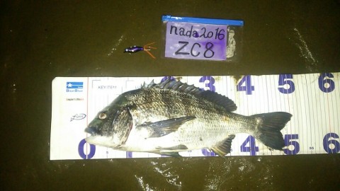 dmih5cuco8uso7pk5yoc_920_518-bc5f8d94.jpg