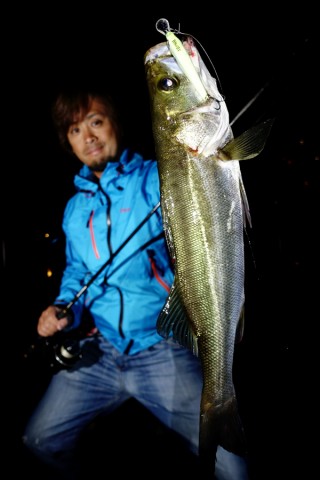 drwvp36sy9mhv9rvyuzu_480_480-e4bff508.jpg