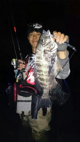 dwhm48bmnt6dysgwosh4_518_920-cf05bae5.jpg