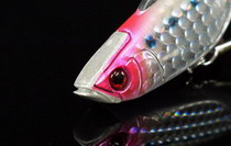 ebza7nzytv2xyuu3jnjp-323459ad.jpg
