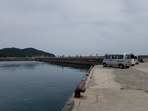 eox4gv2cr6csusi4vdii_480_480-b22a637e.jpg