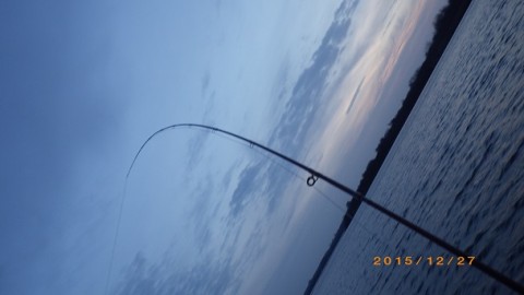 evj72sarxbg9bhhmnwrd_480_480-5bd94286.jpg