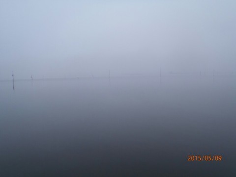 eyikwsfnfb52636uphsm_920_690-606d7fbd.jpg