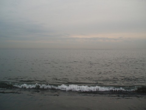 f3uo8v2b7ruuw3yhyhrv_480_480-10fbfedb.jpg
