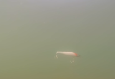 f753evparyo8fc37f7hc-b981c058.png