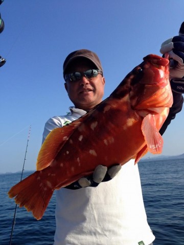 fcwf5ezo3pnmaf86679k_690_920-b074f8b6.jpg