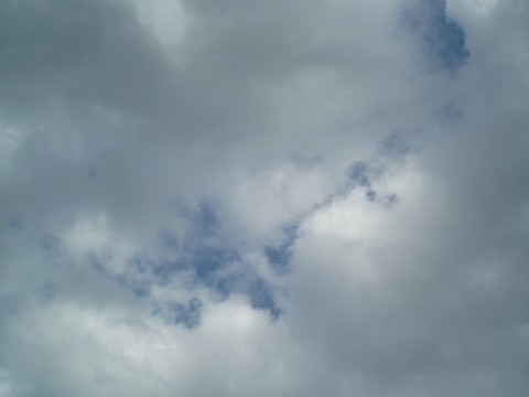 fdhgtfhpcx6f8p86cgwa_480_480-fe034ae3.jpg