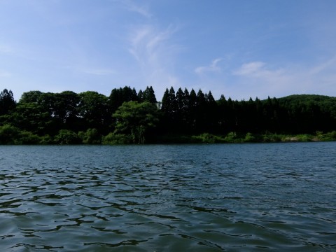 fh6f5hr7mn3tt4387rvw_480_480-b4967301.jpg