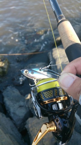 fj762o9s9djicks2midn_480_480-ee0cd01f.jpg