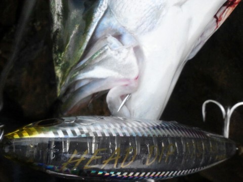 fjzg68yt8577b9cm2dm7_920_690-710c6ed8.jpg