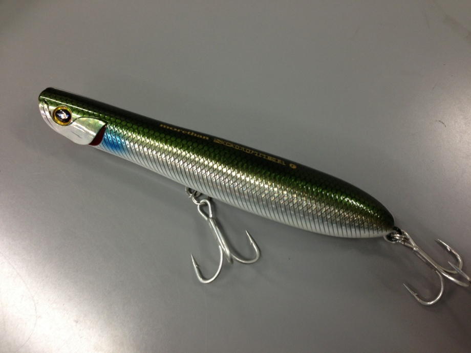 DAIWA SWチーム】 モアザン スカウター110F