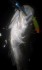 g2owjjsw2gcin82y293c_42_70-20a372db.jpg