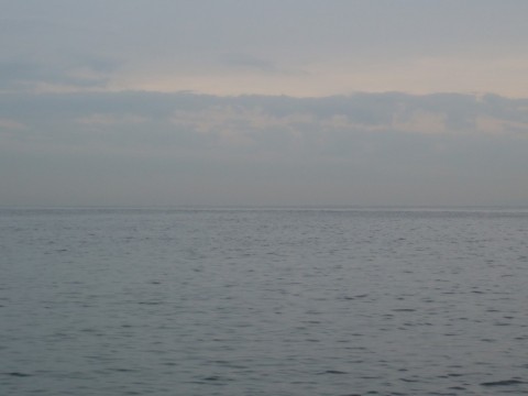 g3x5yc8e4m592o295drt_480_480-73f7f7b1.jpg