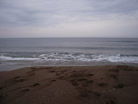 g7e2m87iadxfag8iocxo_480_480-67819330.jpg