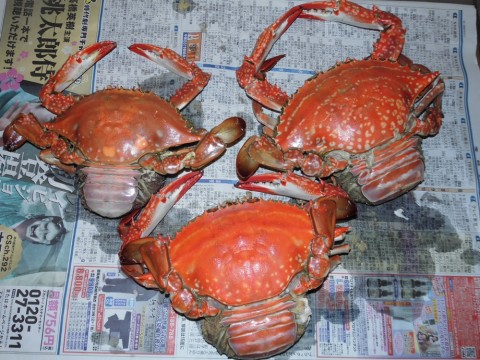g97p3bgk9uyung3p2ndn_920_690-6e8f7819.jpg