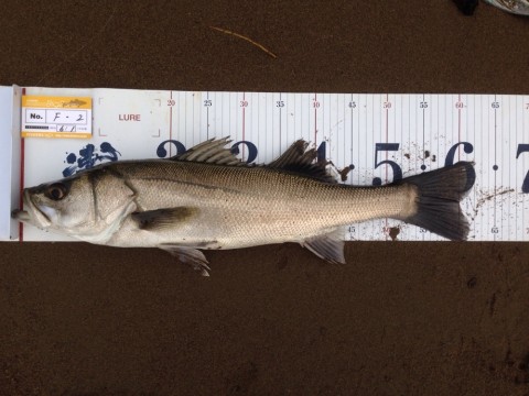 gi99nv2x45b8jja5xfc5_920_690-acda16d7.jpg