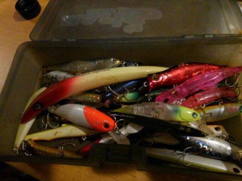 gjgb562wjtpdgfeffu8f_920_690-4259acb5.jpg