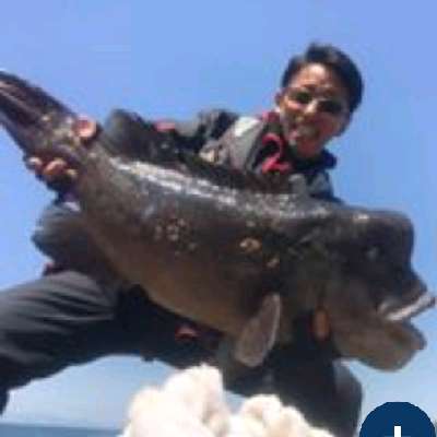 DAZ's Fishing】 平均値からその先を求めたい人へのFoojin'Z