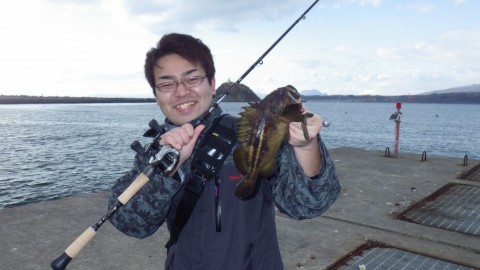 guommhjnmr343u5jacoc_480_480-966155b7.jpg