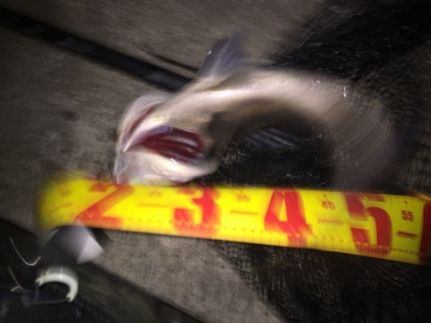 hbh9wd38fm3dp844z3sk_920_690-7c627f0d.jpg