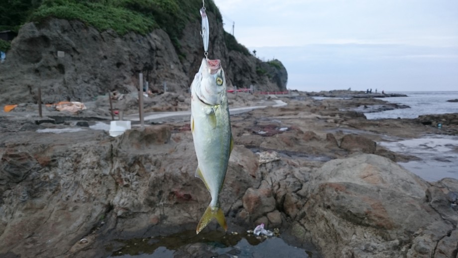 江ノ島裏磯でルアーゲーム