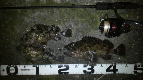 hmsagnehcu4ayffakjso_480_480-70082c51.jpg
