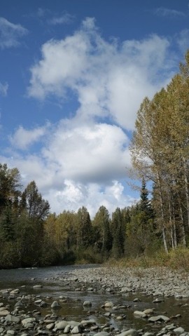hrs5kkpesen5y5o7xuvg_270_480-19b0a28a.jpg