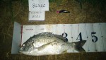 iave7vctt2394g3bomha_150_85-1bf4ecb7.jpg