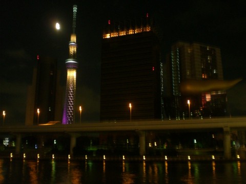 ib7seumusyewrijvrdrf_480_480-2fa8454e.jpg