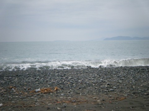 iczscrpse4c4omce6c4t_480_480-657cb1c2.jpg