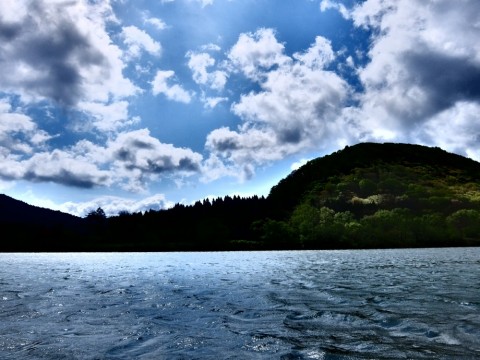 iewti3swpsgi89dtwcpk_480_480-c915274e.jpg