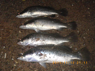 iijdwzrnny3put454fy4-e07771cd.jpg