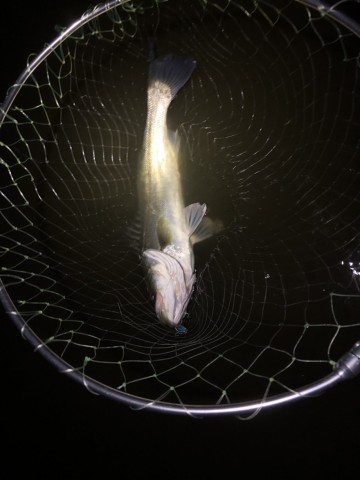 ir2hr9ueb2bzrwt7j6ya_480_480-bee292a7.jpg