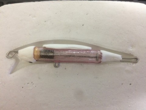 irch325ritc9dm89vat8_480_480-db95c88a.jpg