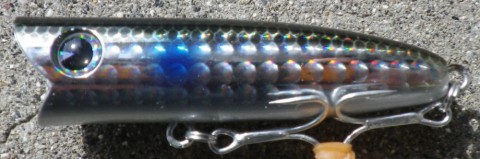 iumrckh2cdc78srwryut_480_480-a063ce57.jpg