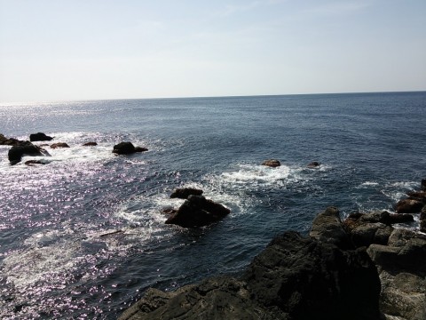 j283g2b8ph6iixajwpro_480_480-cf07b612.jpg
