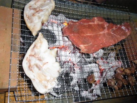 j2rc8295hftyhbafifsx_480_480-8ce7b3a5.jpg