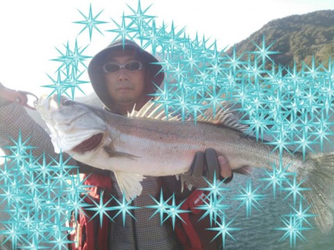 j5d4rh88n8n83p87j9ax_920_690-131f748d.jpg