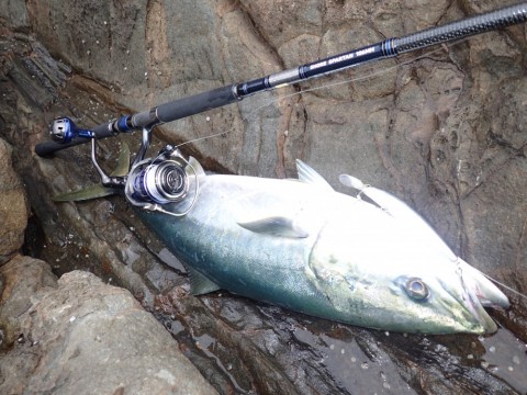 DAIWA SWチーム】 ショアスパルタン106MH