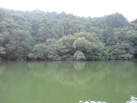 jfobxfdp9nwfsaofzmn5-c04390e2.jpg