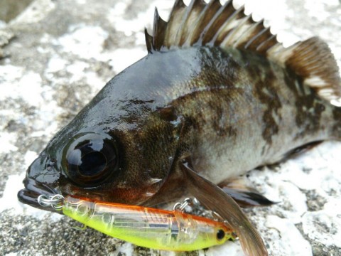 jiueiubo3tvkfxcmuezx_920_690-02528d54.jpg